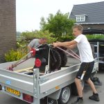 Verwijderen Ankerlier - 10